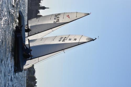 DSC 0749