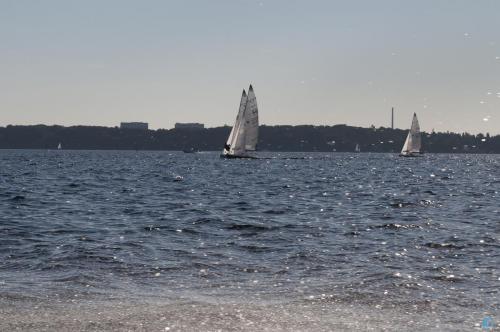  DSC0508