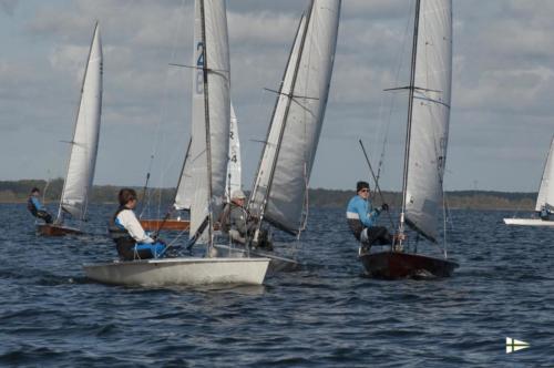 Petermännchenregatta