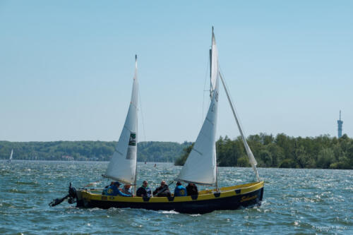 Ansegeln Schweriner Innensee 2024-11