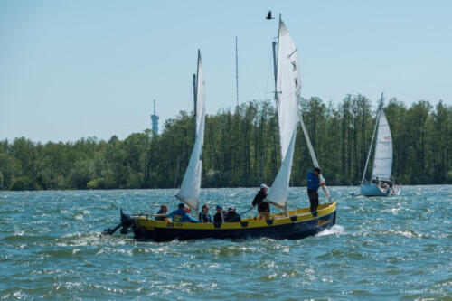 Ansegeln Schweriner Innensee 2024-30