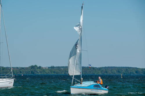 Ansegeln Schweriner Innensee 2024-54