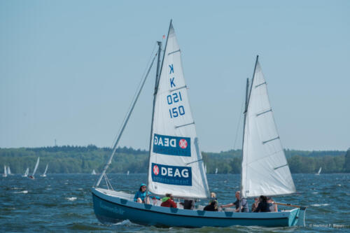 Ansegeln Schweriner Innensee 2024-60