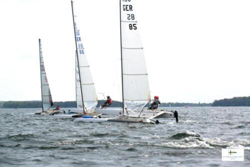 CatCup2024-0200