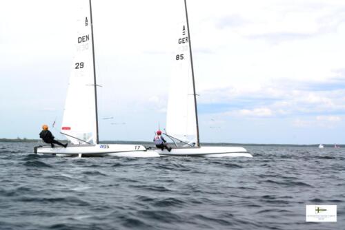 CatCup2024-0211