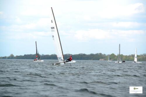 CatCup2024-0225