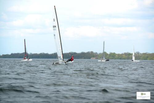CatCup2024-0226