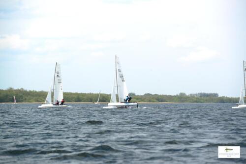 CatCup2024-0227