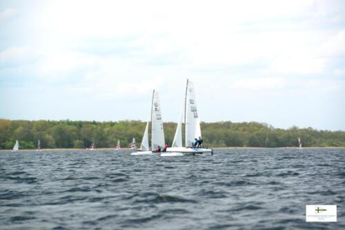CatCup2024-0228
