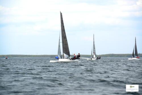 CatCup2024-0229