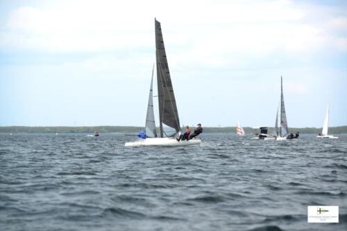 CatCup2024-0230