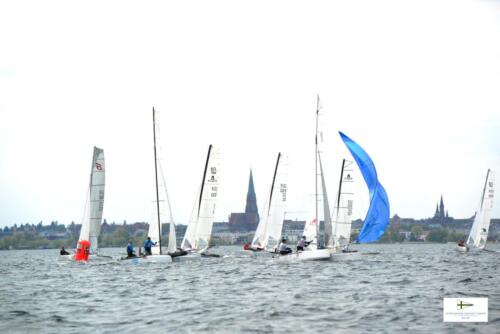 CatCup2024-0242