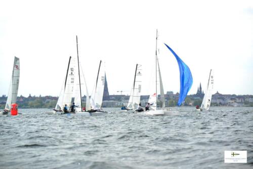 CatCup2024-0243