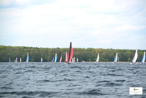 CatCup2024-0258