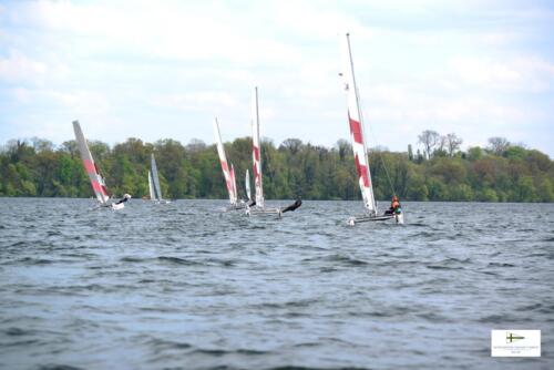 CatCup2024-0264