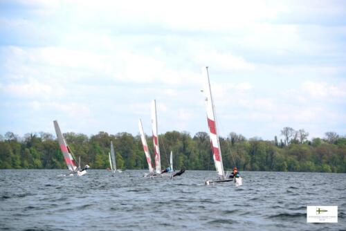 CatCup2024-0265