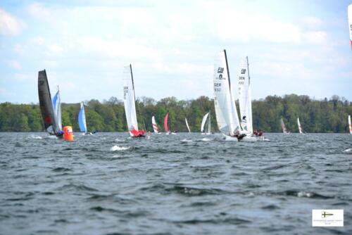 CatCup2024-0271