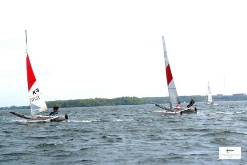 CatCup2024-0277