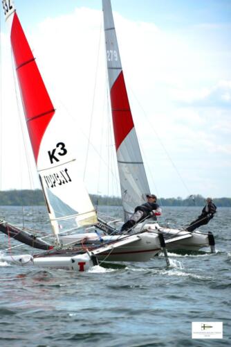 CatCup2024-0280